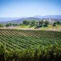 Why Should You Move to Temecula?