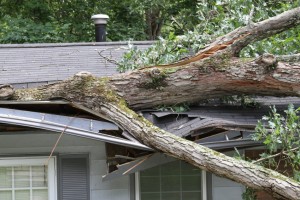 5 Things that can Damage Your Home